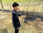 北京通州两年轻人点燃杨柳絮引发火灾，一人被行政拘留10日