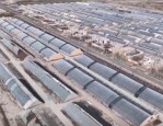 新疆戈壁滩引进高科技种植技术，助力当地村民增收致富