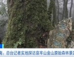 哀牢山景区国庆接待游客近 6 万人次，未开发区域严禁进入