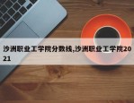 沙洲职业工学院分数线,沙洲职业工学院2021