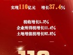 2024年辽宁省固定资产投资增长5.3%，创十年来最好成绩