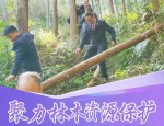 浙江通报检察护企专项行动情况：警察跨省抓人索财，企业家跳车报警