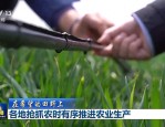 清明时节各地忙农事，为丰收夯实基础的举措盘点