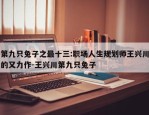 第九只兔子之最十三:职场人生规划师王兴川的又力作-王兴川第九只兔子
