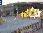 黑龙江一村庄有老虎出没致村民受伤，人兽冲突如何解决引关注