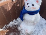 冬天堆雪人必备工具与创意作品分享：雪人、雪熊、雪猪等精彩展示