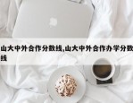 山大中外合作分数线,山大中外合作办学分数线