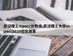 武汉理工mpacc分数线,武汉理工大学mpacc2020招生简章