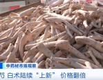 白露时节食白传统，白术白芍价格翻倍，市场行情如何？