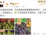 阳光玫瑰葡萄价格逐年走低，今年批发交易价格已跌至 5-9 元/斤