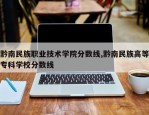 黔南民族职业技术学院分数线,黔南民族高等专科学校分数线
