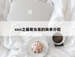 exo之最萌女巫的简单介绍