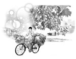 五十年前自行车风光无限，清明节扫墓路上的童年回忆与家庭梦想