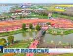 清明假期：踏青赏花体验民俗，各地尽享春日好时光