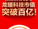 龙蟠科技拟引入不超过 2 亿美元增资，加快海外产能建设步伐