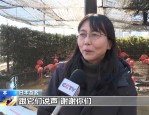 日本民众送别大熊猫晓晓和蕾蕾，不舍之情溢于言表