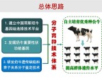 中国农大研发奶牛基因组平衡选育技术取得重大进展，推动奶业可持续发展