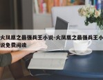 火凤凰之最强兵王小说-火凤凰之最强兵王小说免费阅读