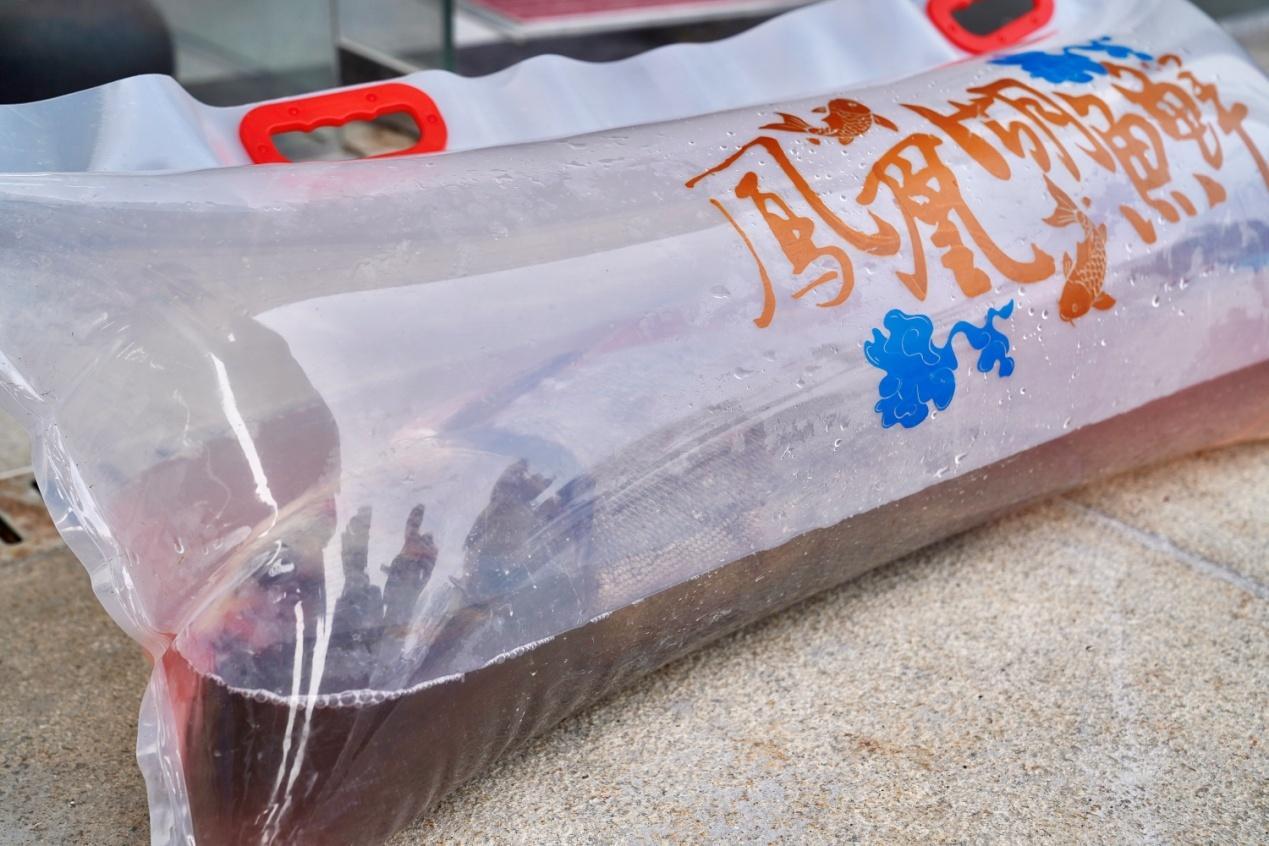 _你的样子｜“阿姨，谢谢您！”一次买鱼，一场双向奔赴_你的样子｜“阿姨，谢谢您！”一次买鱼，一场双向奔赴