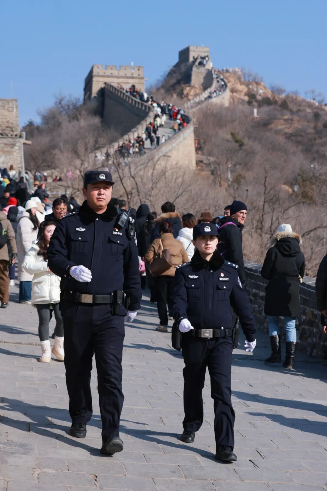 安徽警官职业学院警体队__有舵雪橇视频冬奥
