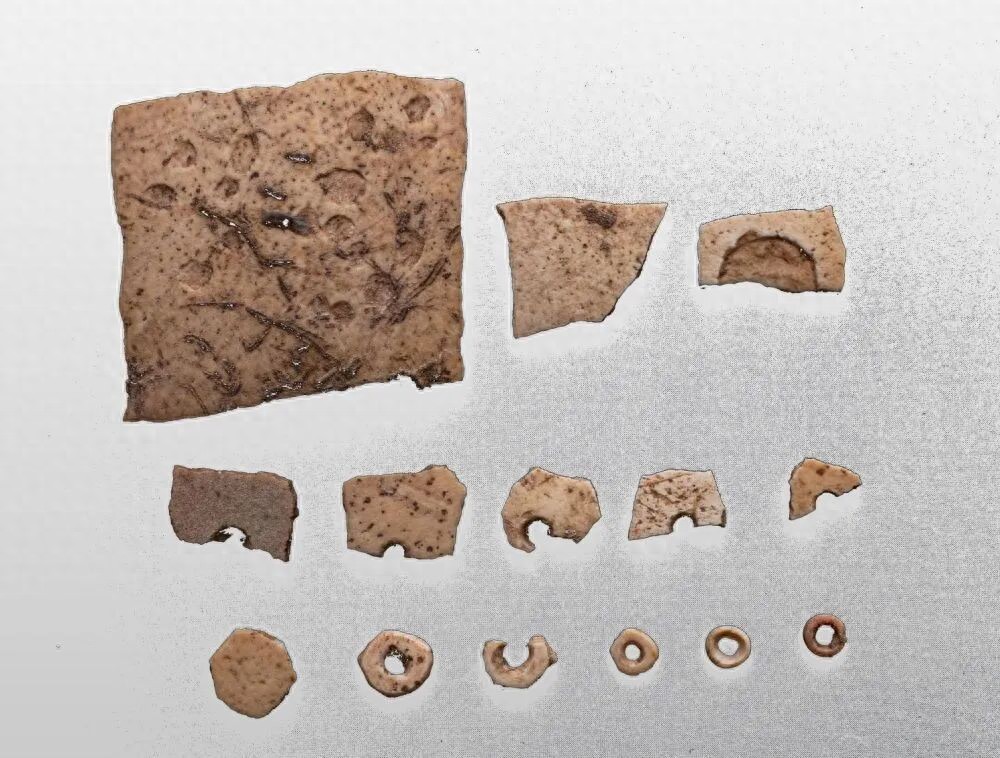 _蛋壳鸵鸟发现前2.6个蛋_鸵鸟蛋壳是什么颜色的