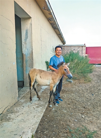 _守护野猪_守护野生动物的人