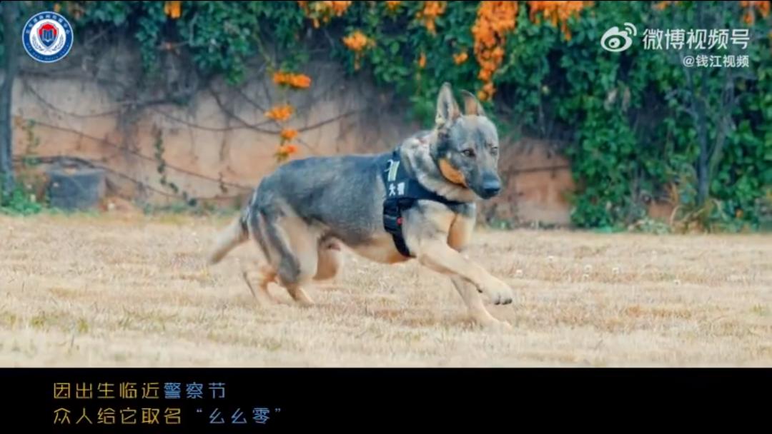 云南省公安厅通报表扬_表彰英雄民警的通报_