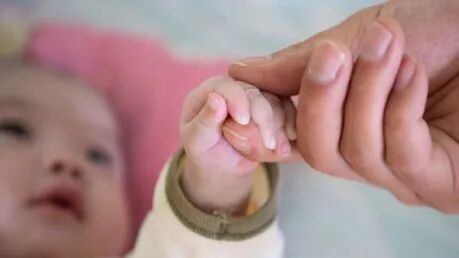 _广东新生儿_广东各市新生儿数量