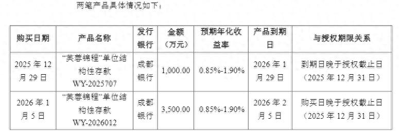 募集资金理财_募集资金违规划转_