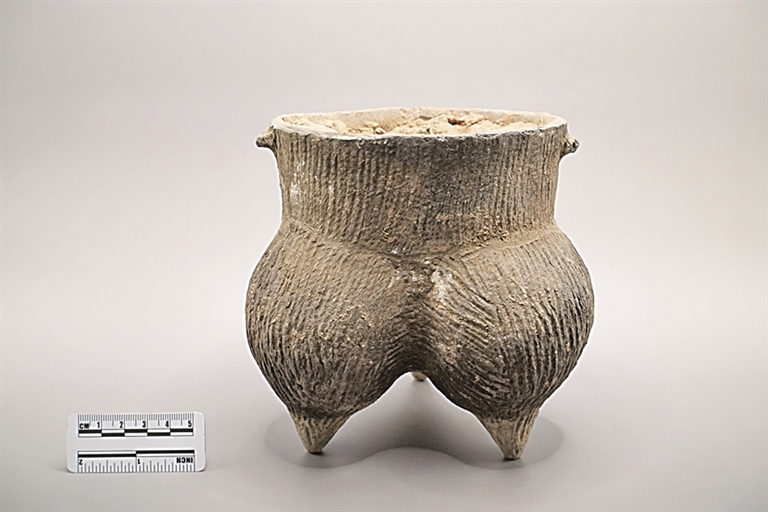 _陕西考古重大发现_2021陕西考古