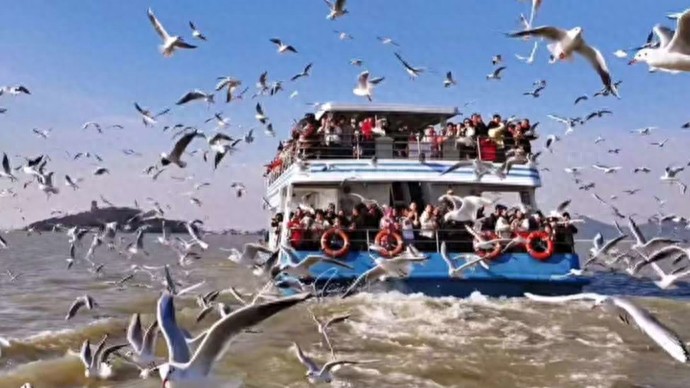 无锡市换乘优惠政策_无锡换乘免费_