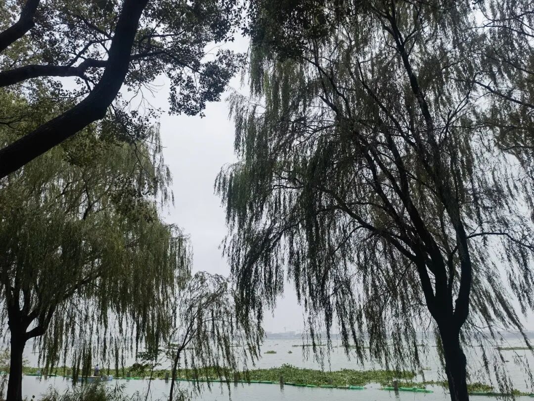 _梅花庵观_梅花庵怎么读