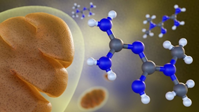 药老一生__药神中的药叫什么名字