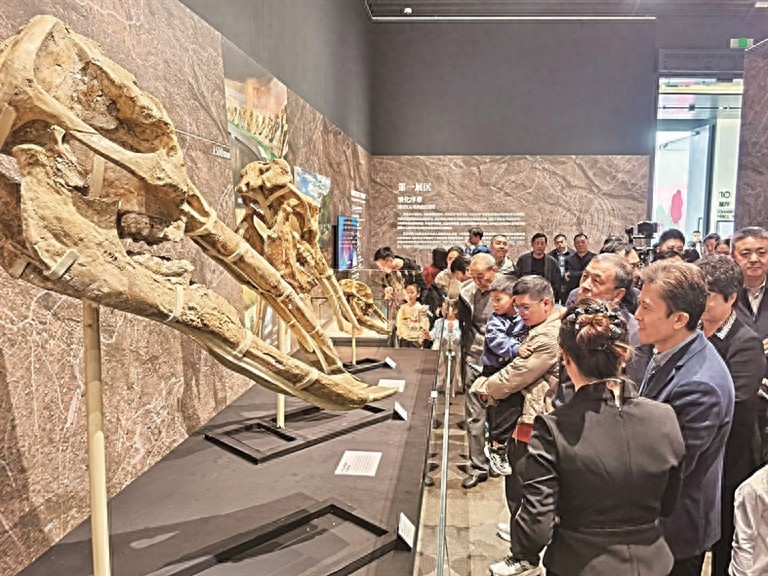 动物化石值钱_最珍贵的化石_