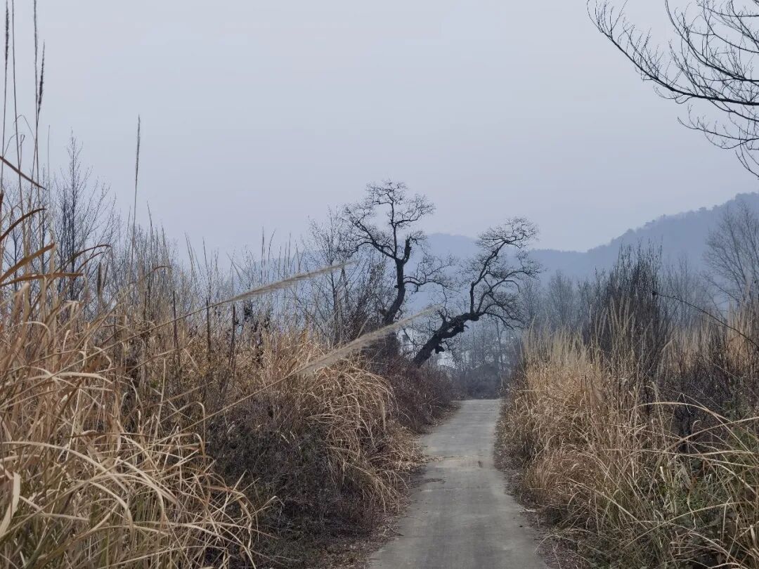 _源泉村属于哪个镇_源泉新村