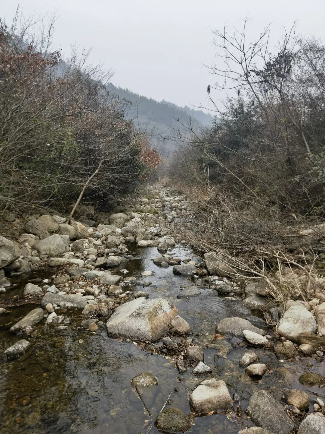 _源泉新村_源泉村属于哪个镇