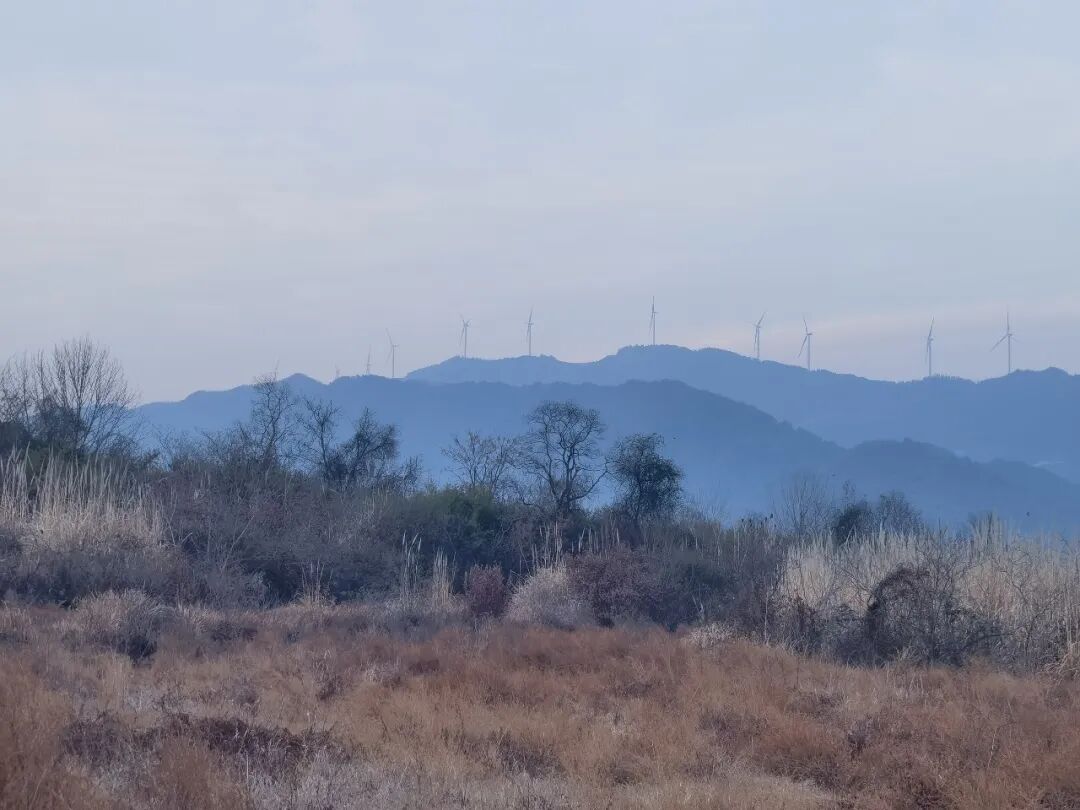 源泉村属于哪个镇_源泉新村_