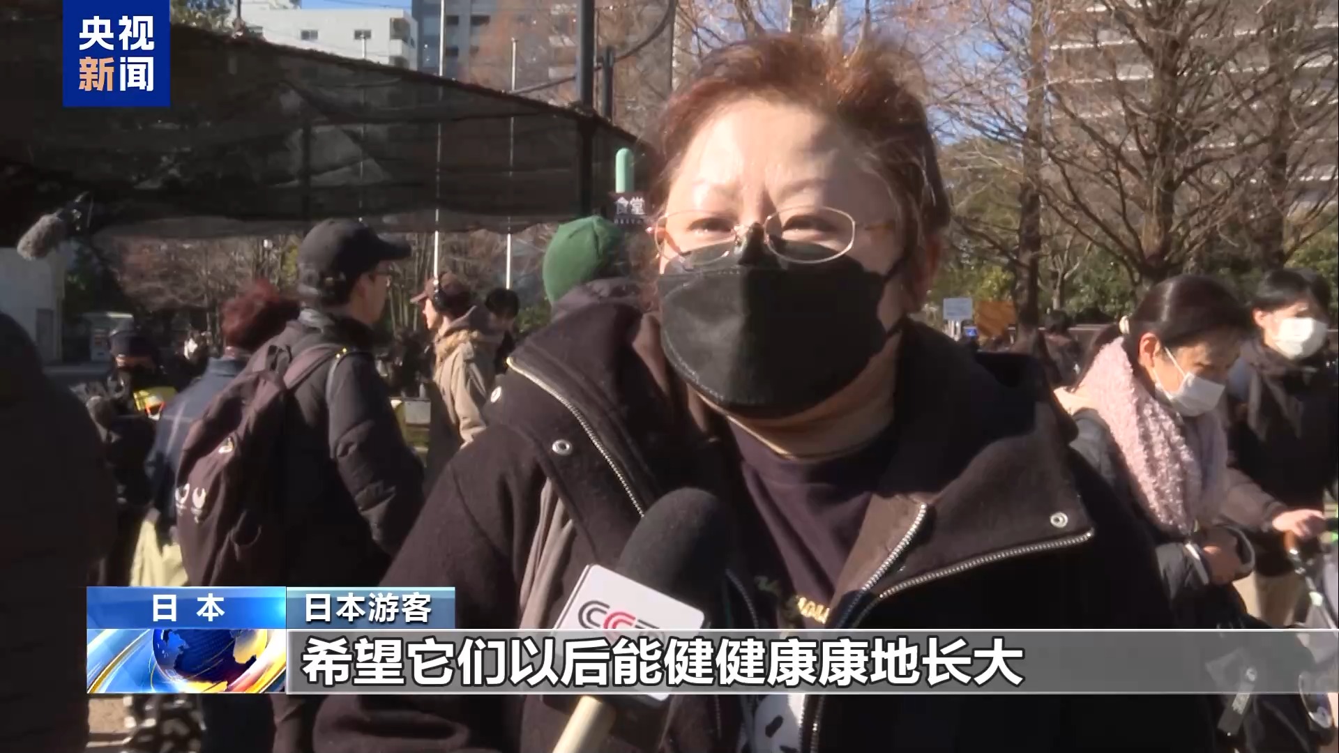 大熊猫回国_外国人不愿意熊猫回国_