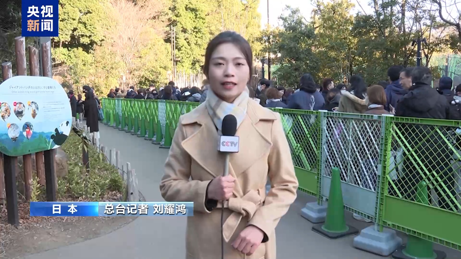 外国人不愿意熊猫回国__大熊猫回国