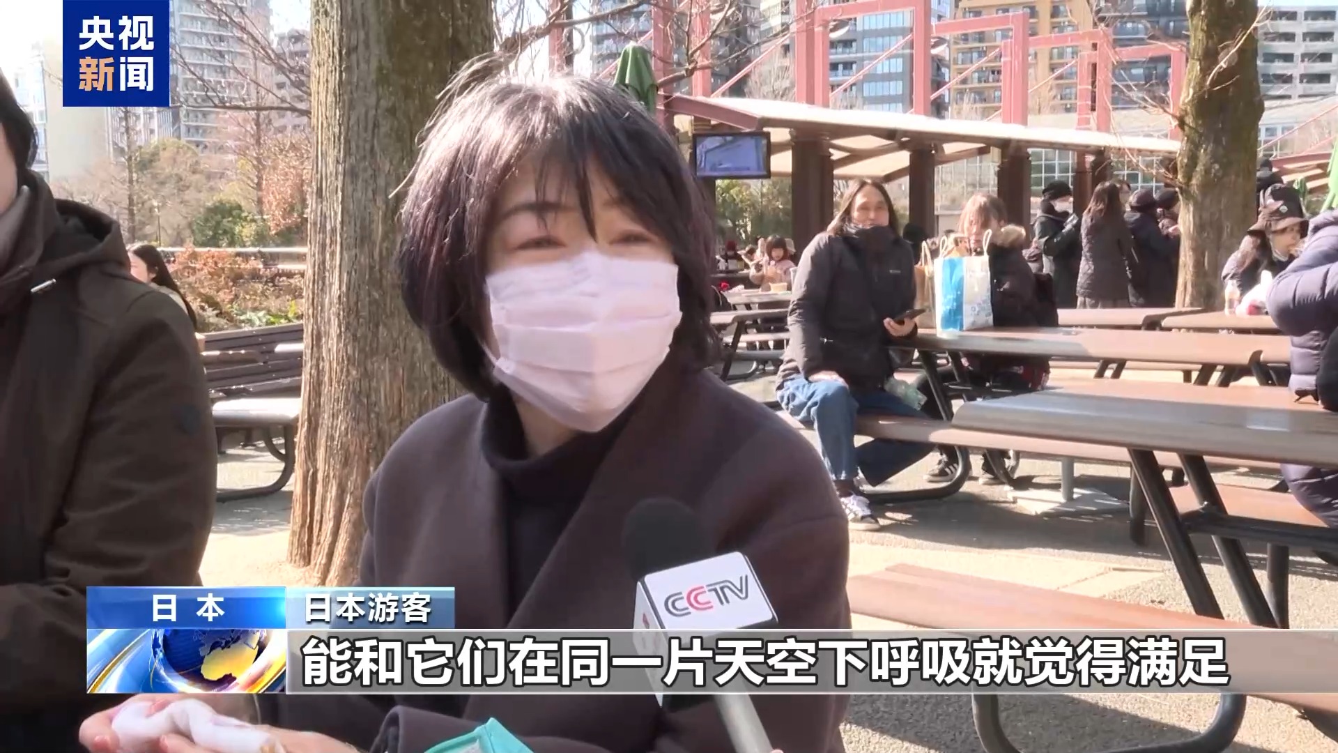 大熊猫回国_外国人不愿意熊猫回国_