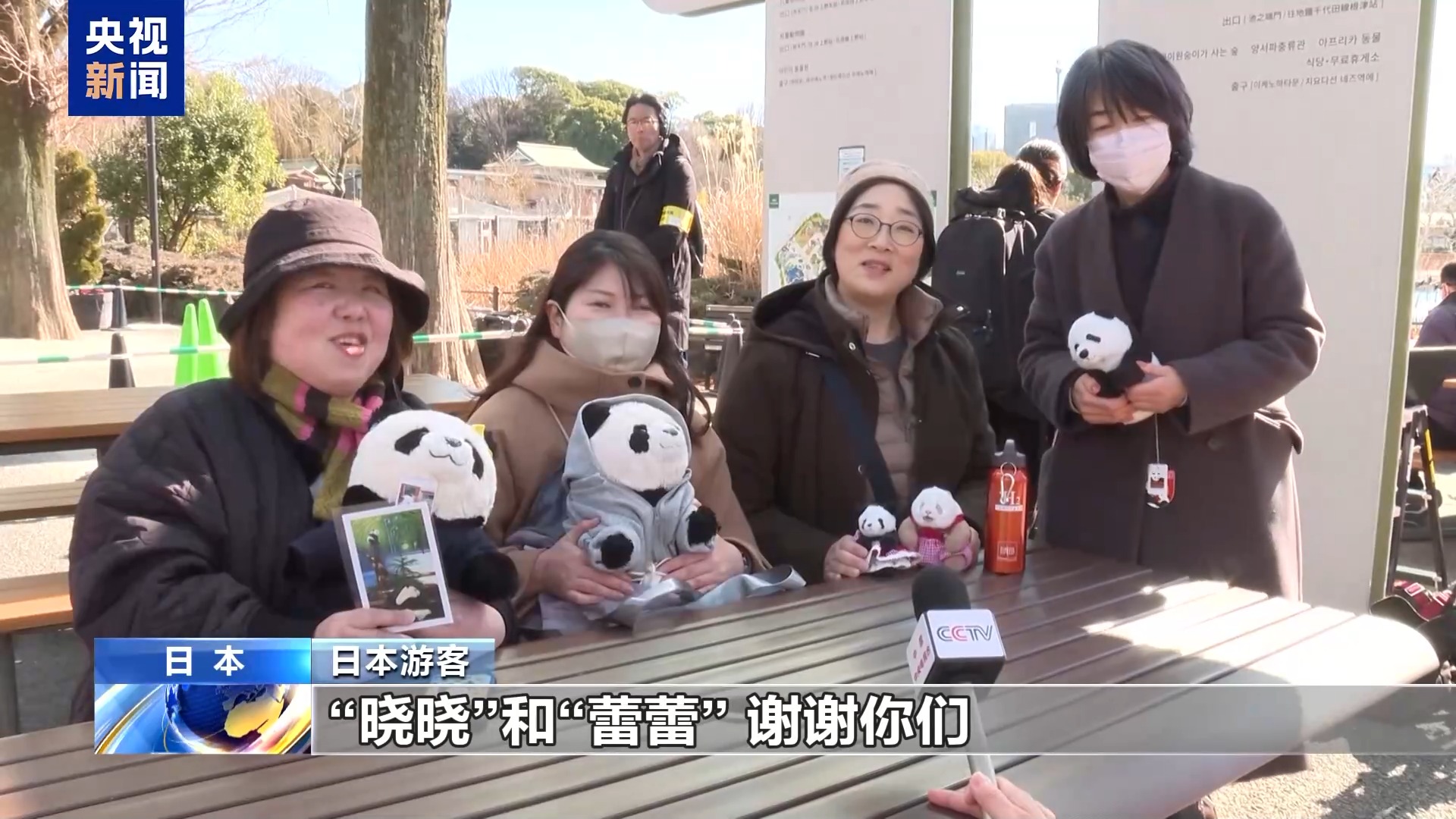 _外国人不愿意熊猫回国_大熊猫回国