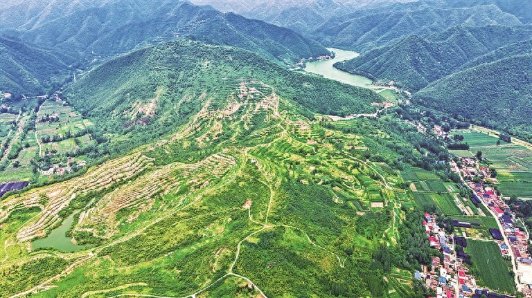 2434妄想战_西峡口之战，日寇的妄想彻底破灭了_