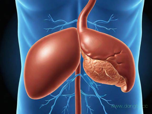 影像学怎么看脾大,影像学怎么看脾大还是肝大