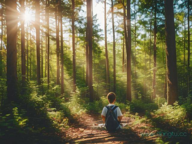 初二孩子不爱学怎么办,初二孩子不努力学怎么办