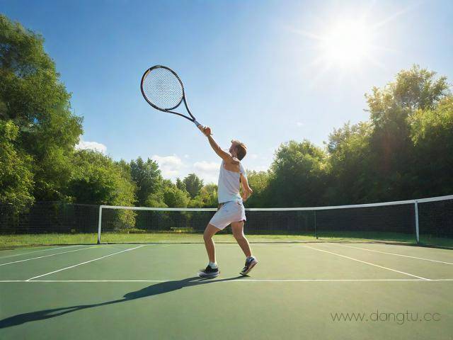 网球怎么学,网球怎么打初学者