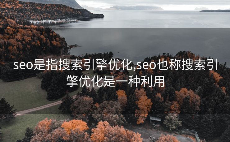 seo是指搜索引擎优化,seo也称搜索引擎优化是一种利用