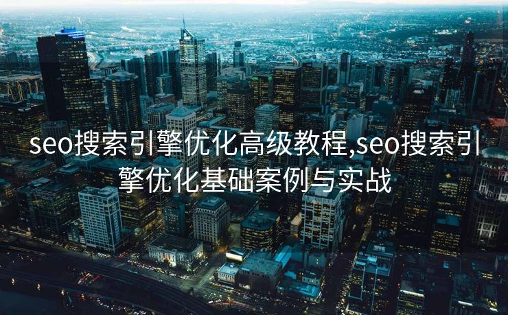 seo搜索引擎优化高级教程,seo搜索引擎优化基础案例与实战