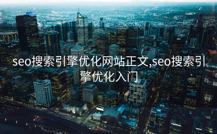 seo搜索引擎优化网站正文,seo搜索引擎优化入门