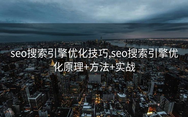 seo搜索引擎优化技巧,seo搜索引擎优化原理+方法+实战