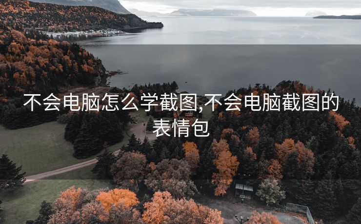不会电脑怎么学截图,不会电脑截图的表情包